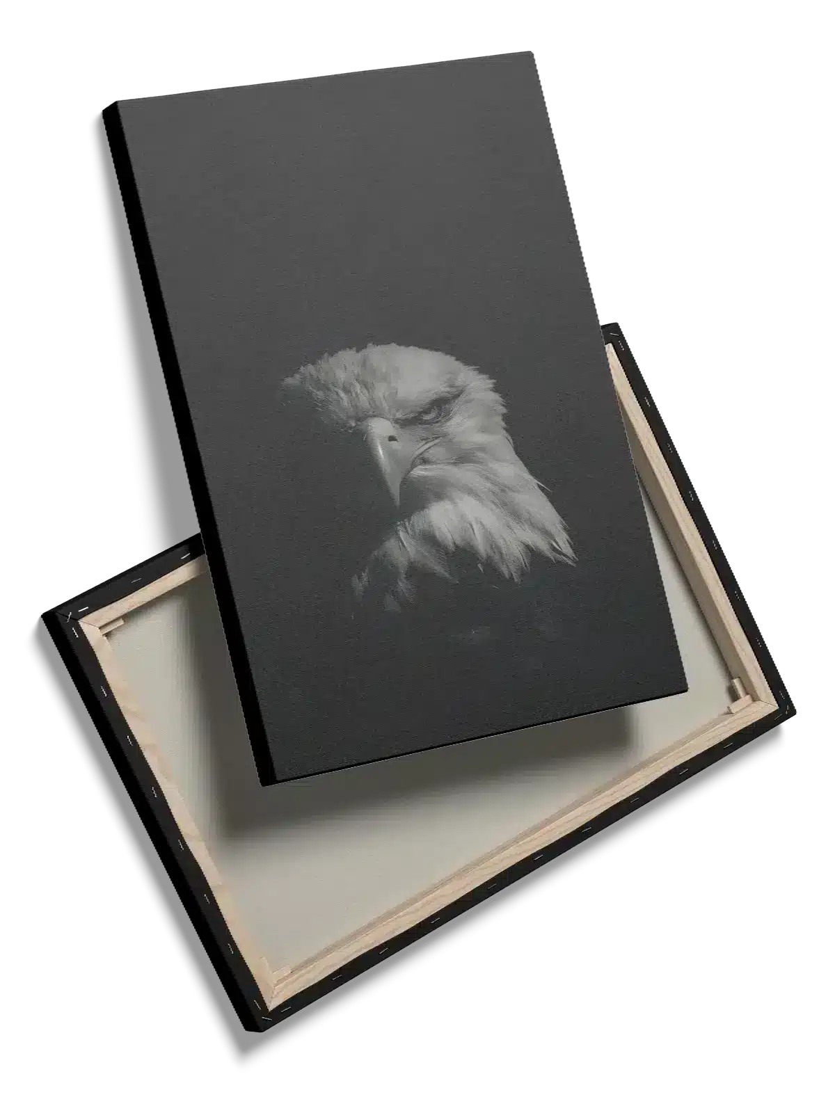 Bald Eagle Plakat