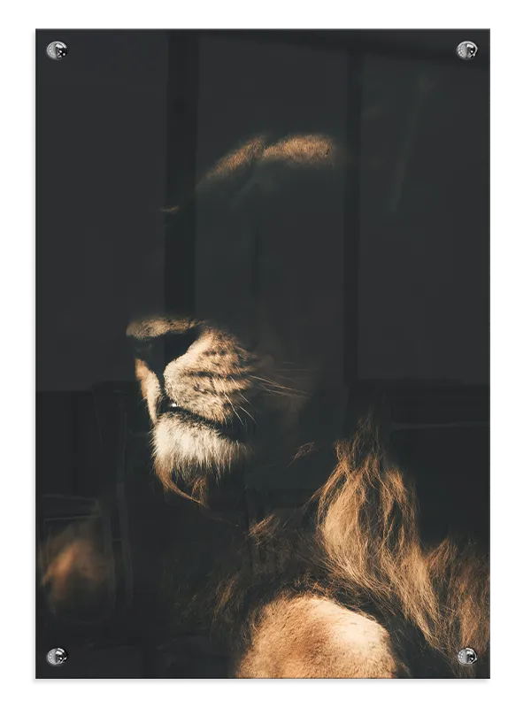 Lion In Plakat