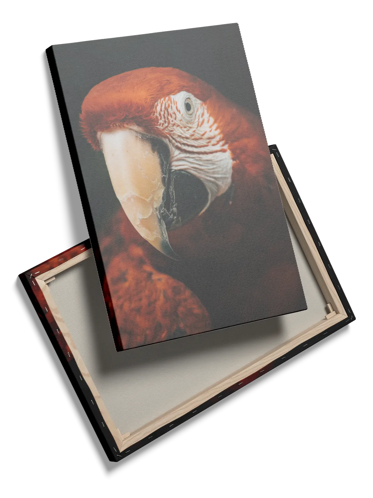 Fugl Scarlet Plakat