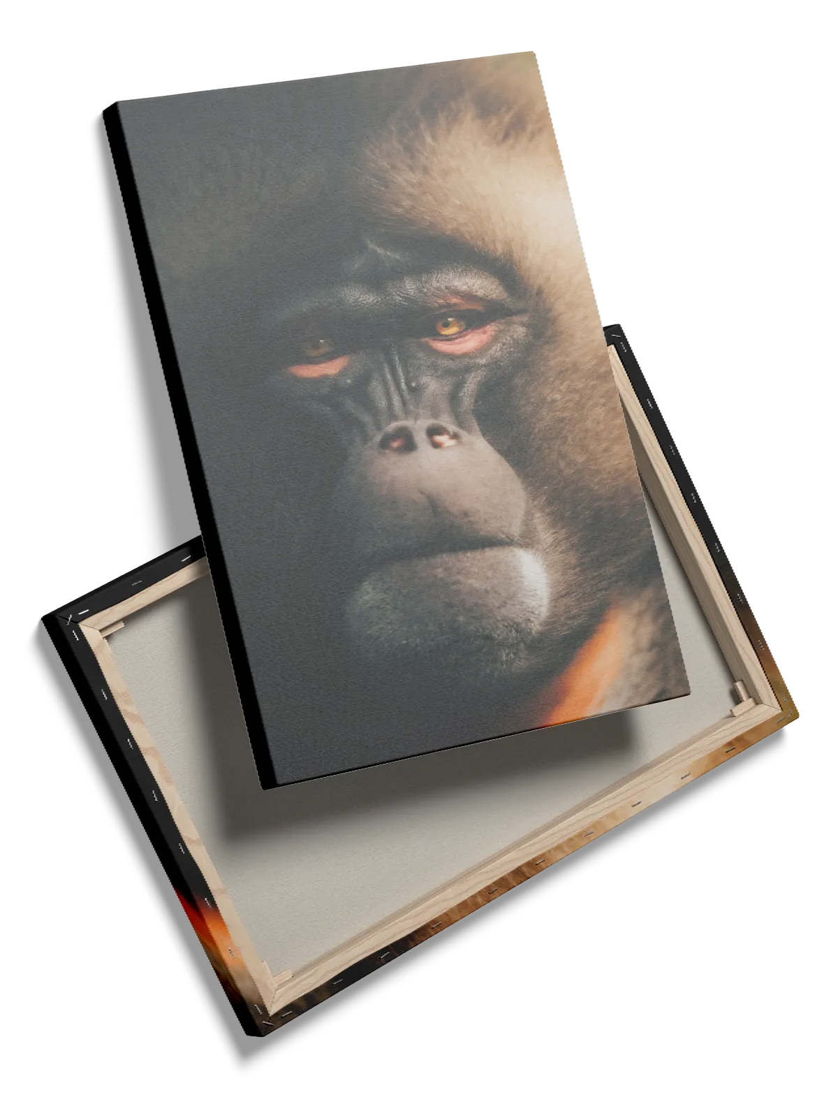 Bi Baboon Plakat