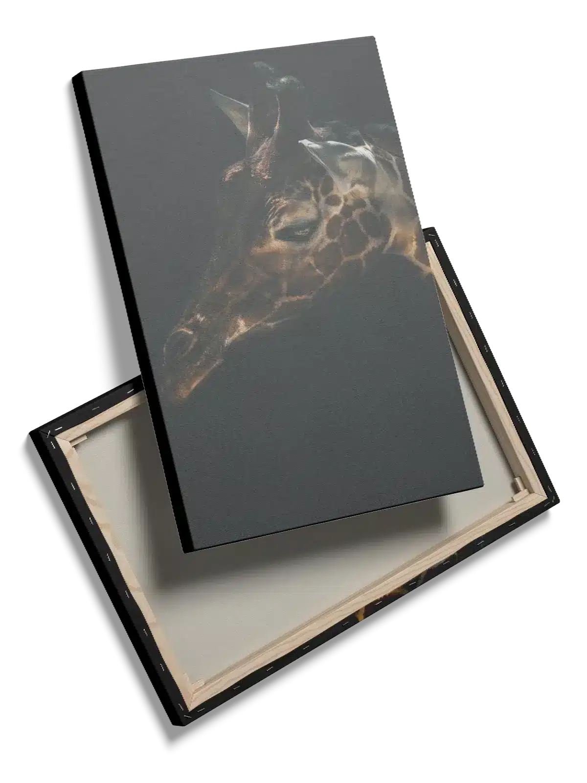 Giraffe Close Up Plakat