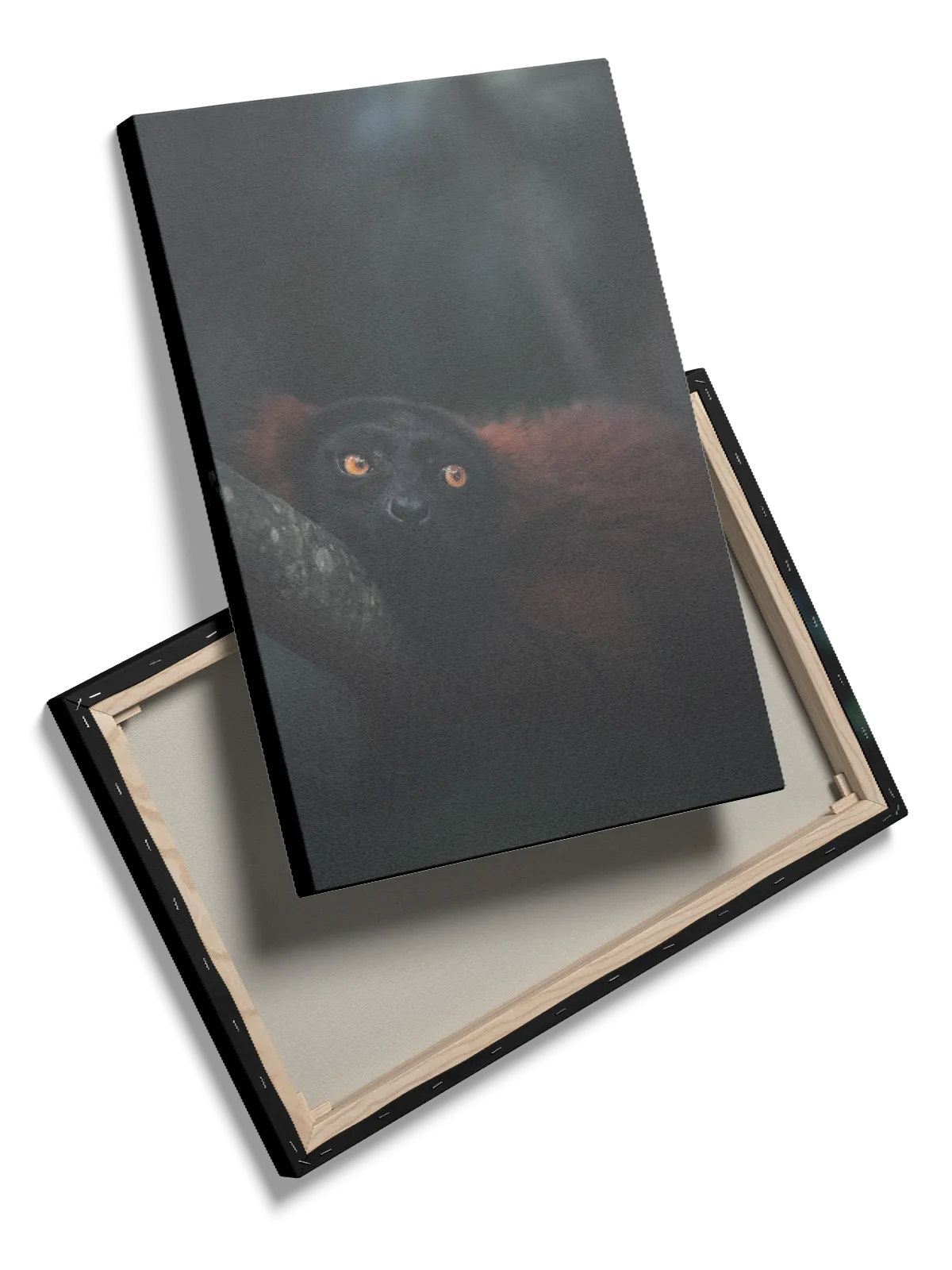 Black Lemur Plakat