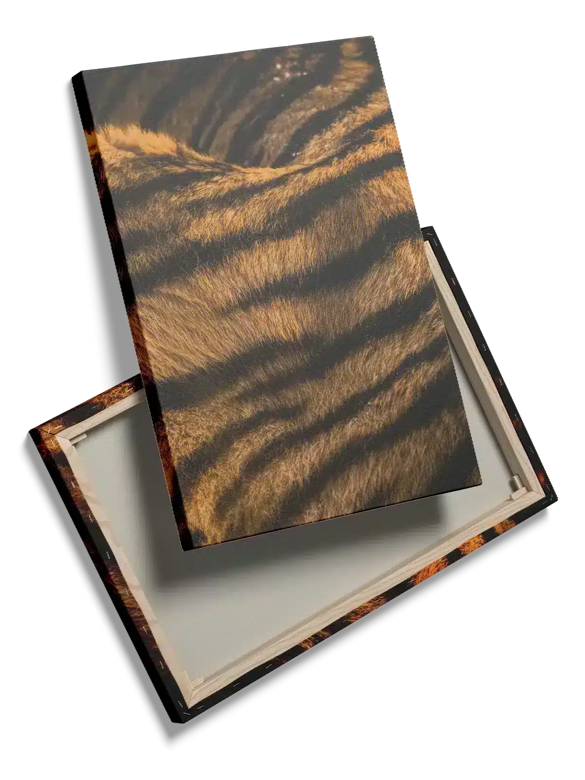 Tiger Fur Plakat