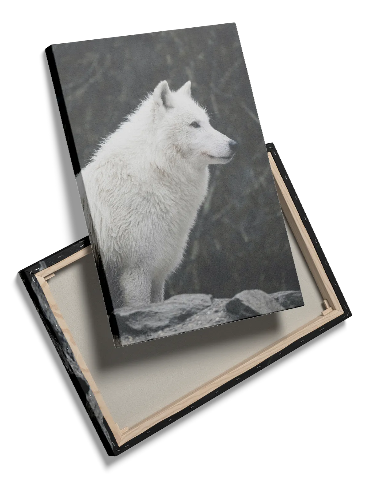 Arctic Wolf Profile Plakat