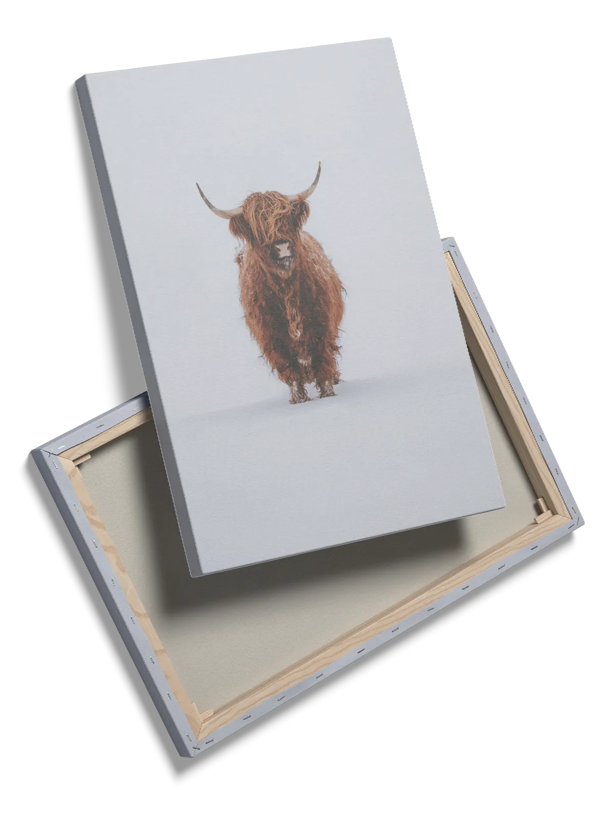 Highland Cow Snow Plakat