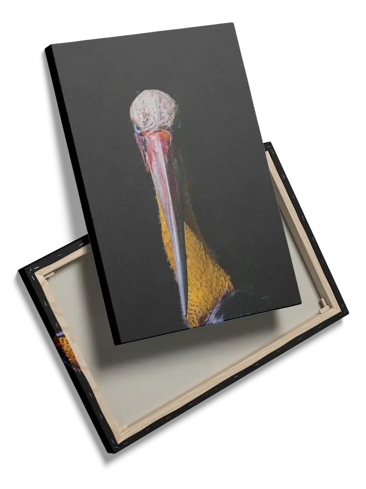 Shoebill Stork Plakat