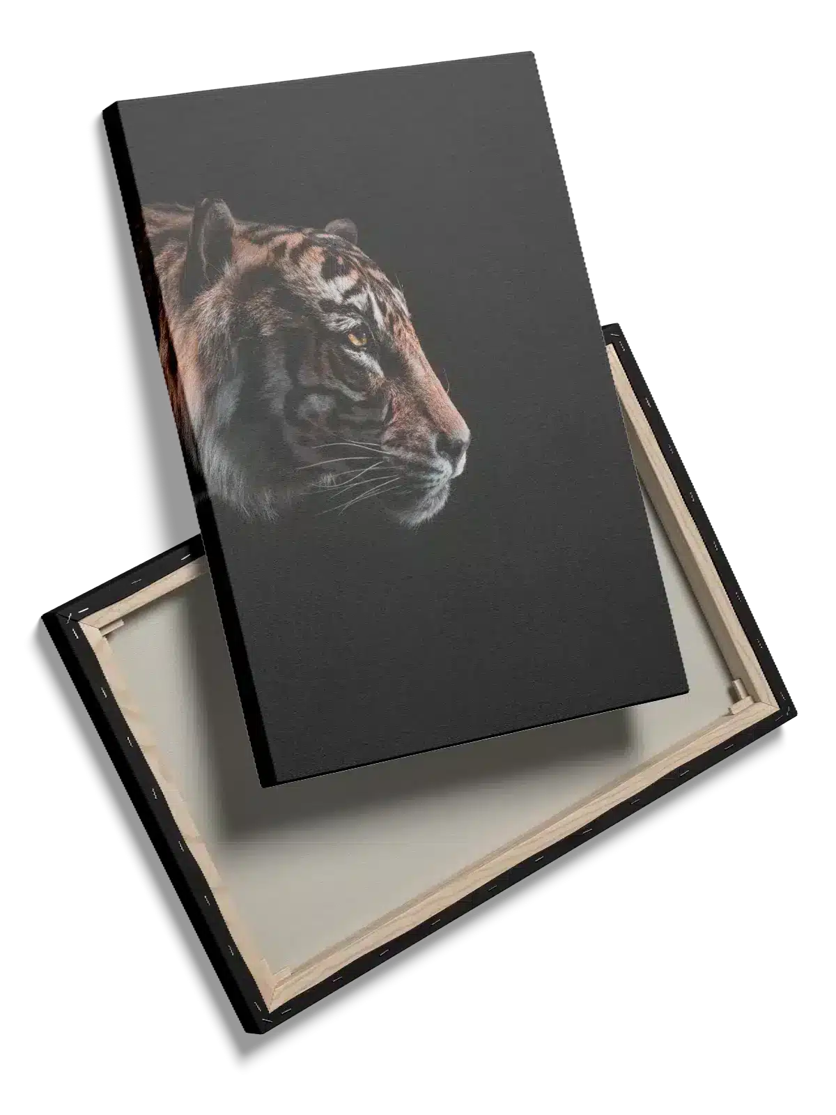 Tiger Profile Dark Plakat