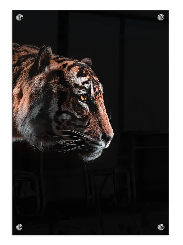 Tiger Profile Dark Plakat