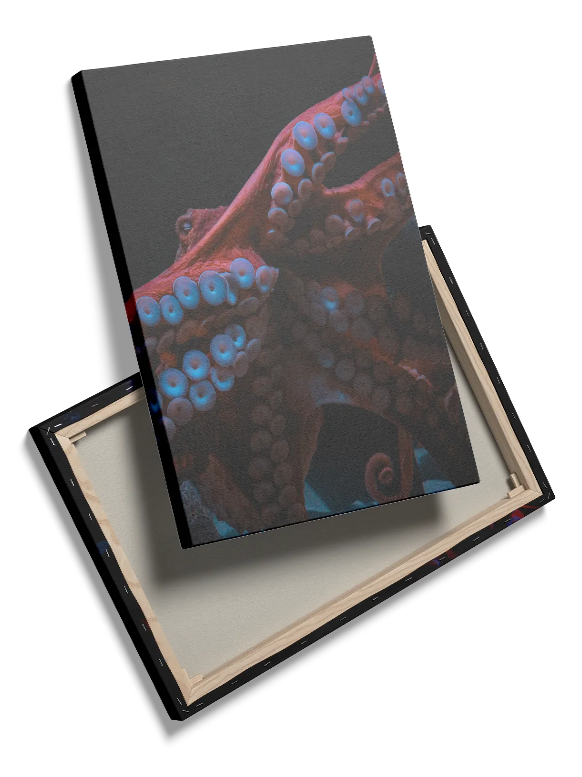Octopus Tentacles Plakat