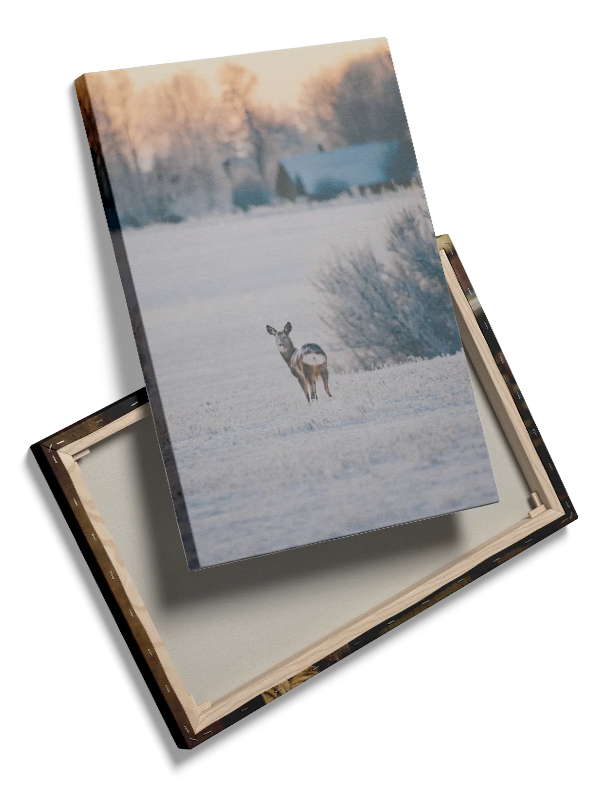 Roe Deer Plakat