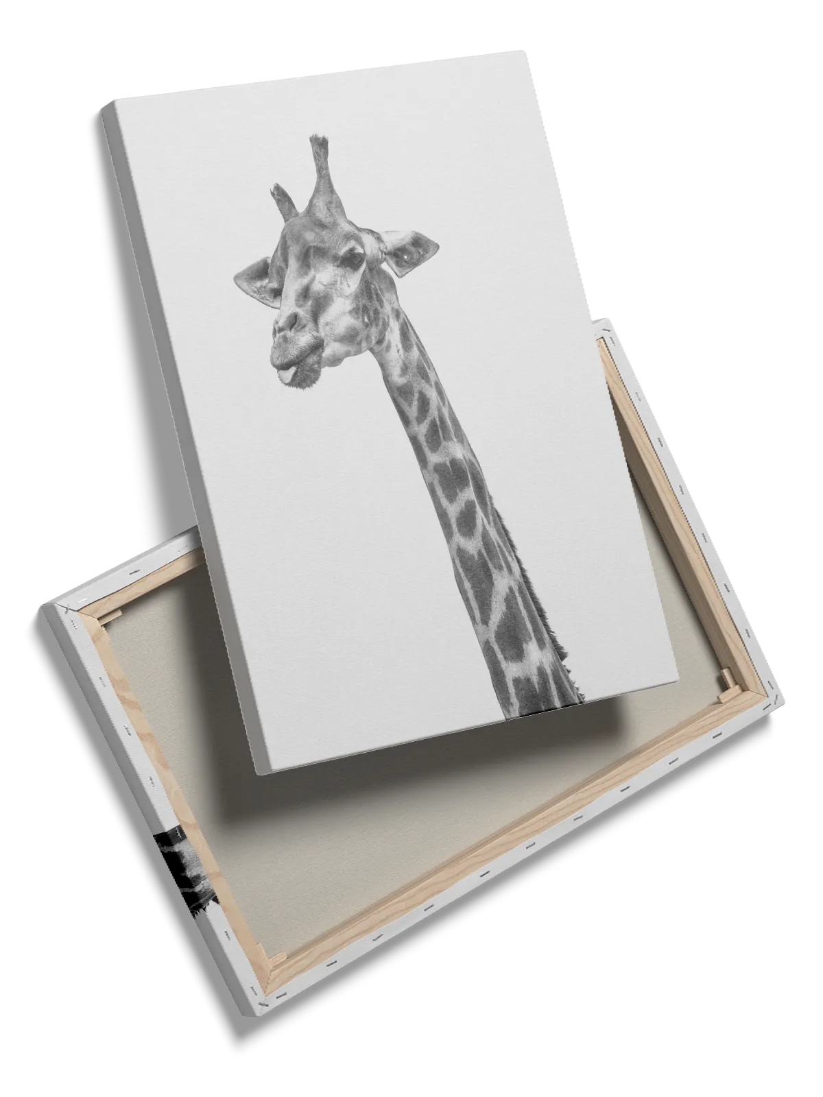 Giraffe Head Plakat