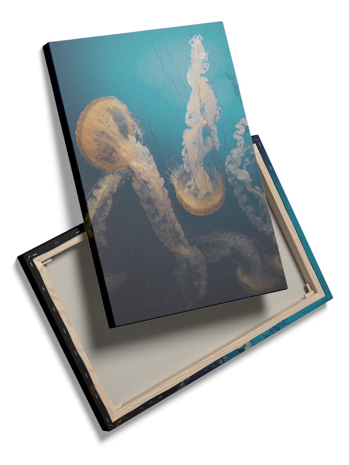 Pacific Sea Jellyfish Plakat
