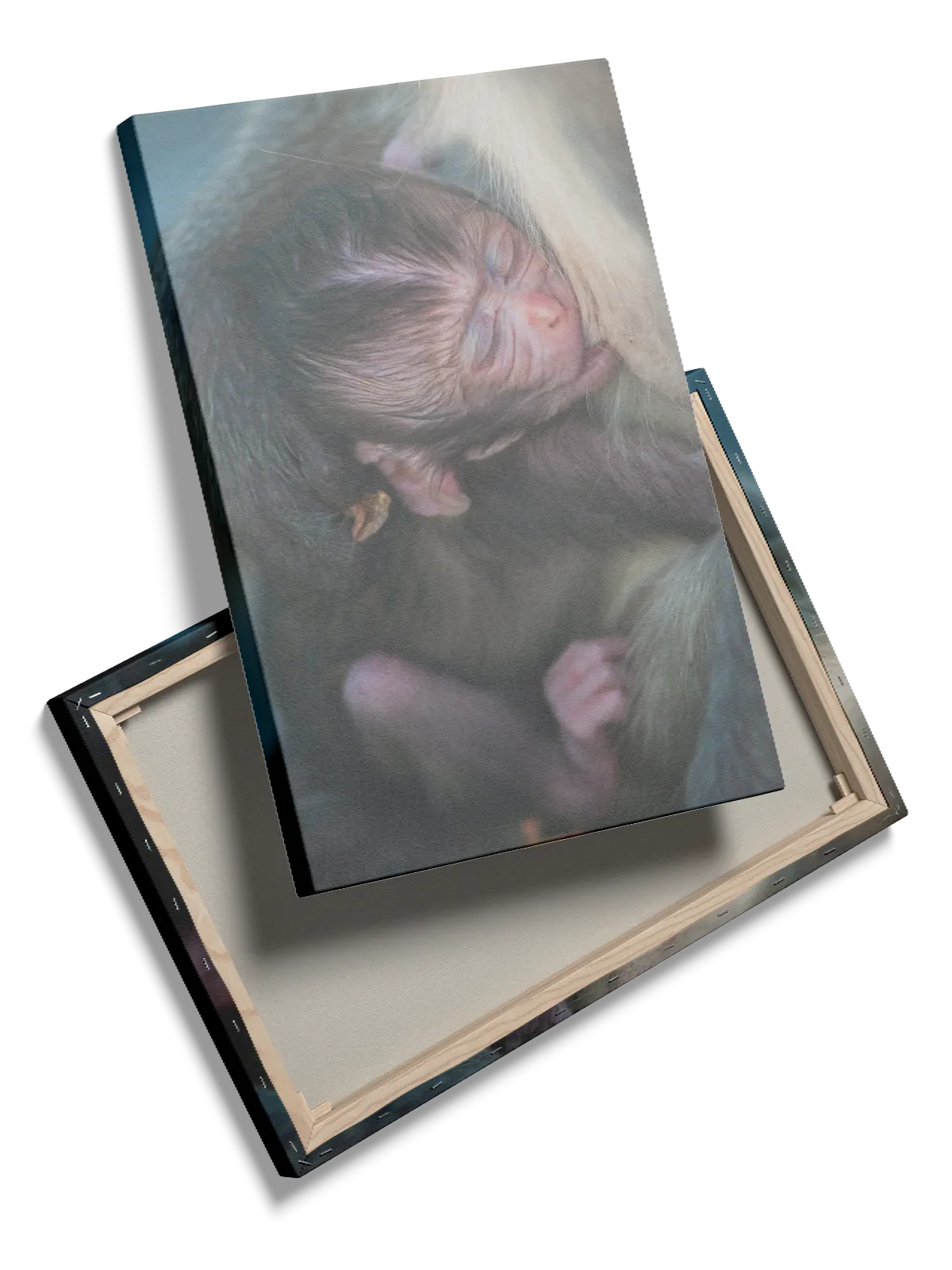 Abe Baby Plakat