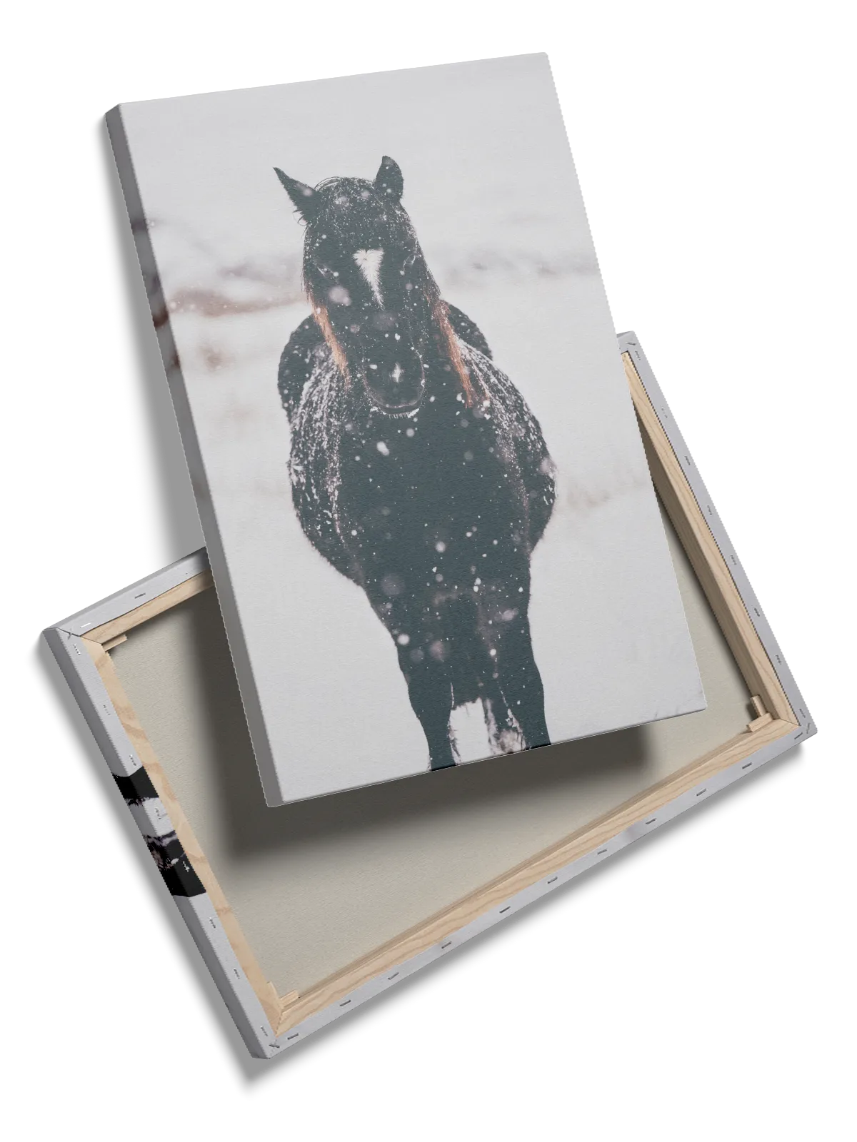 Icelandic Horse Snow Plakat