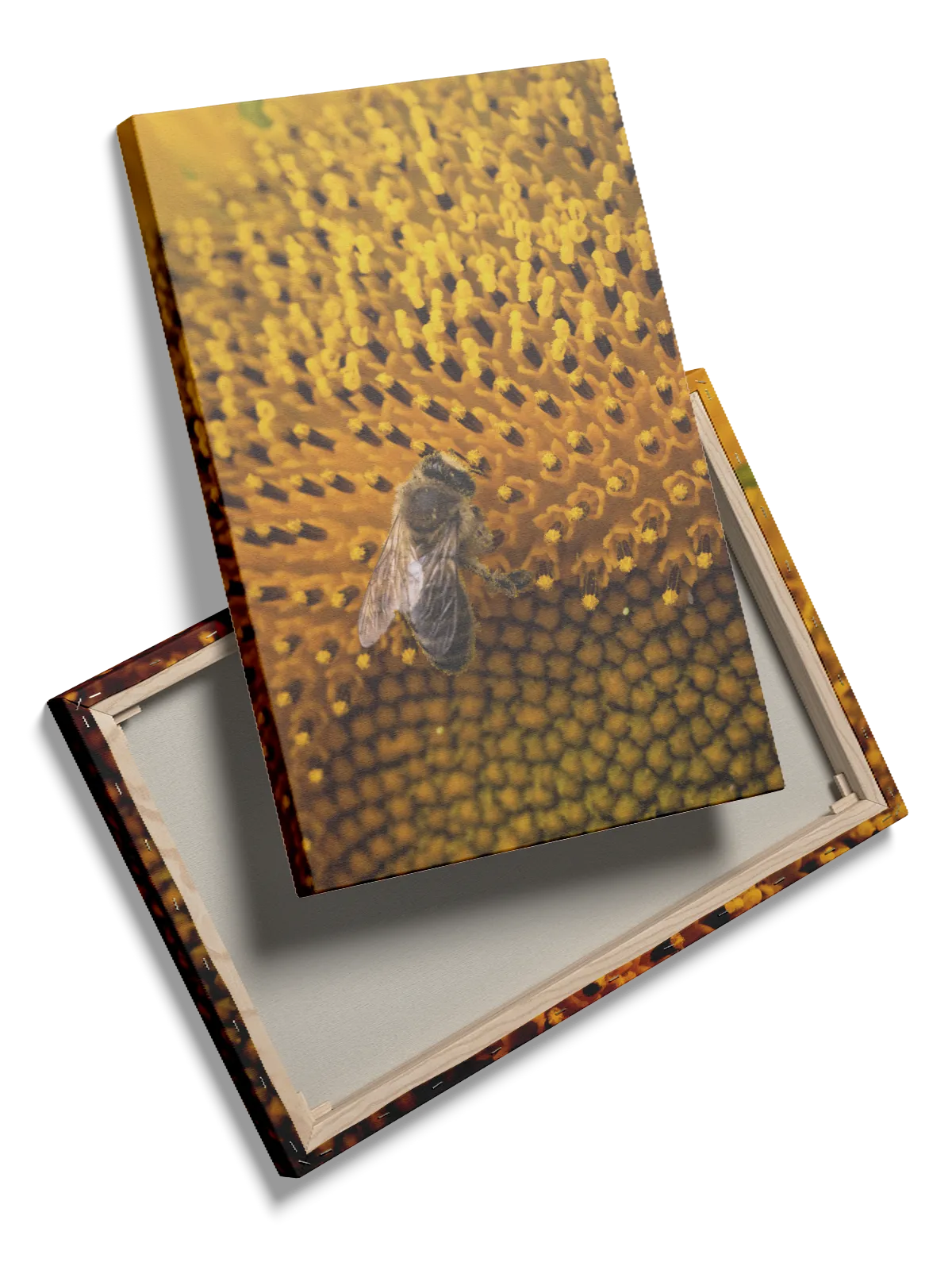 Honeybee Plakat