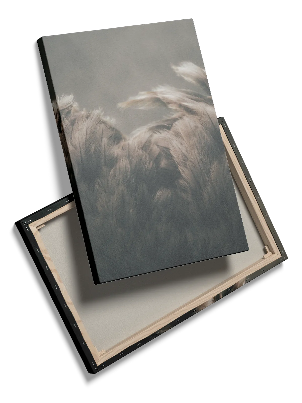 Bi Ostrich Plakat