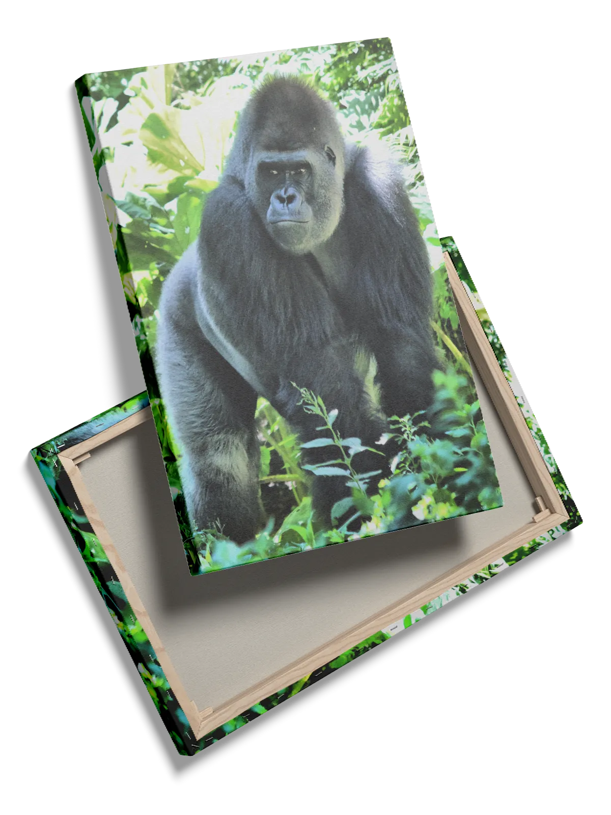 Silverback Gorilla Jungle Plakat