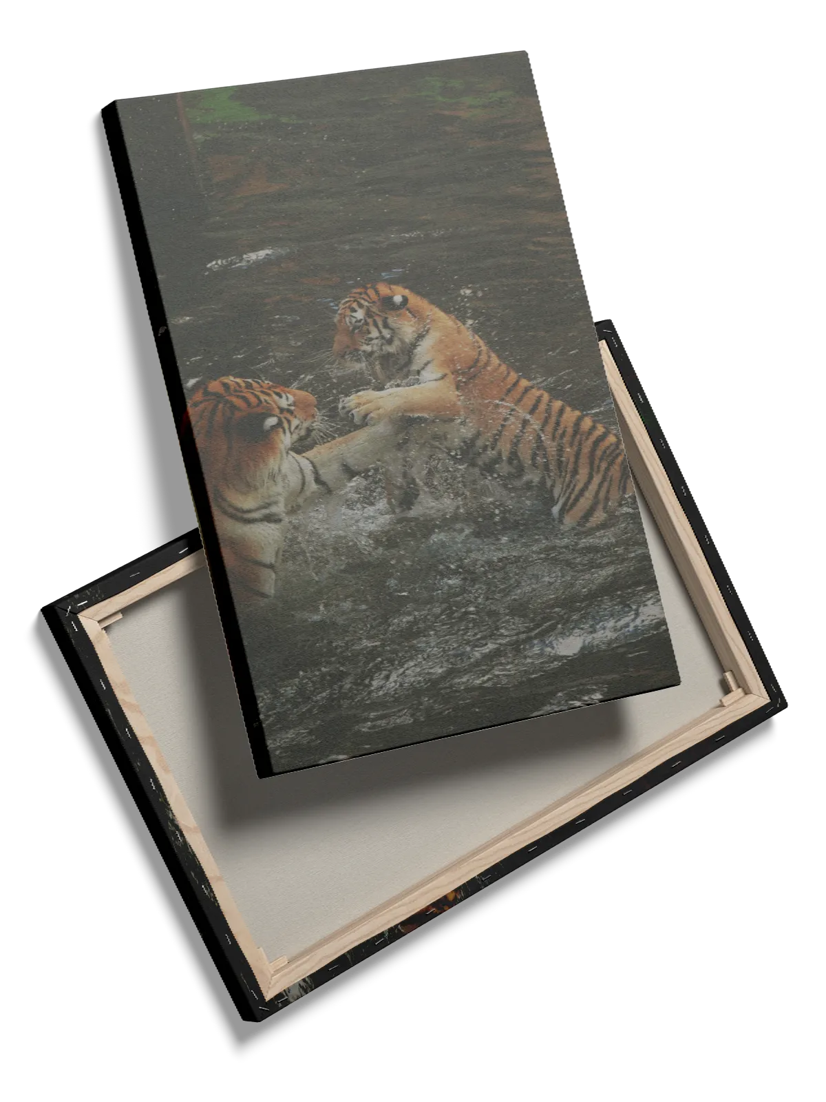 Tiger Play Plakat