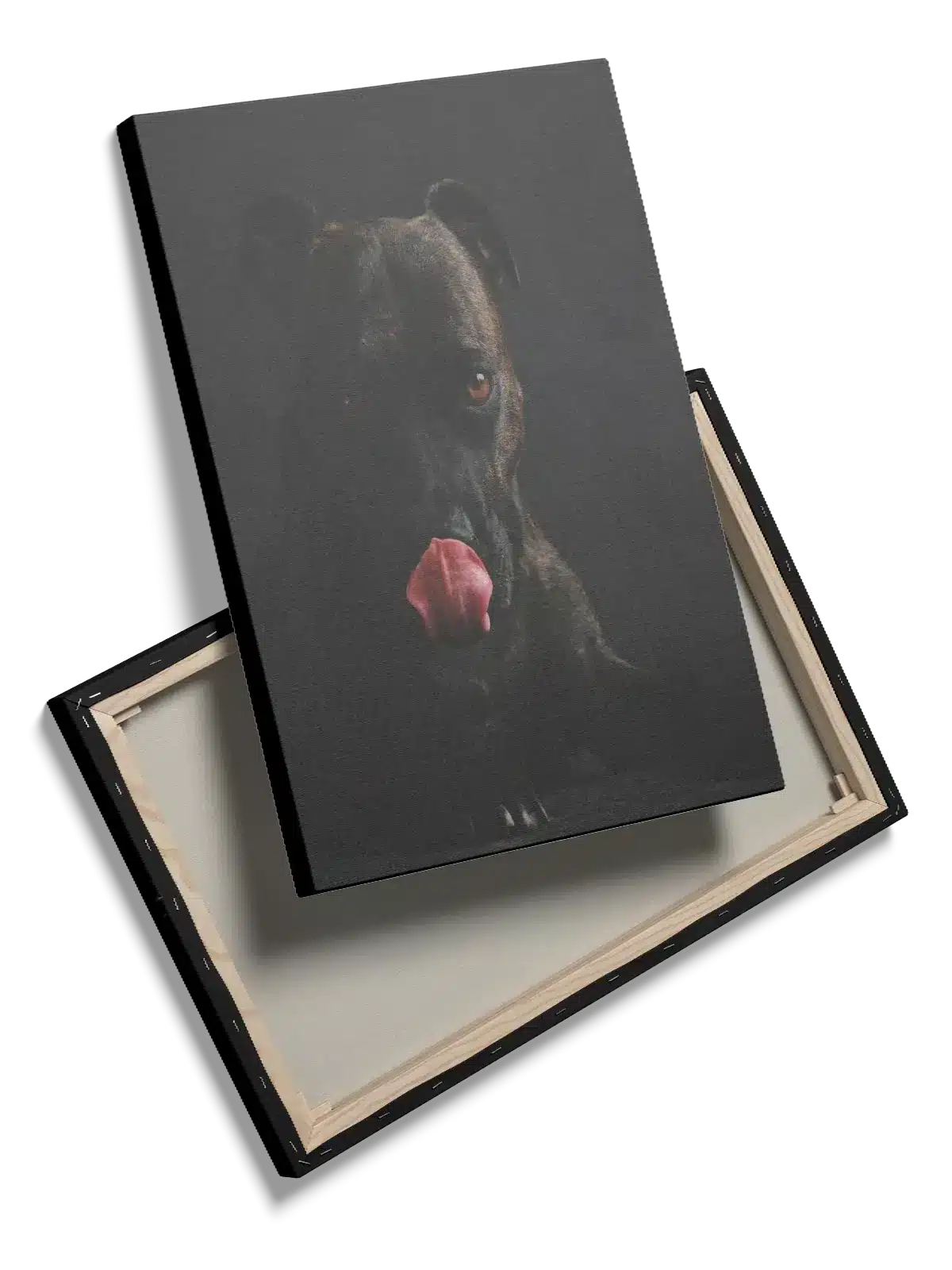 Staffordshire Bull Terrier Plakat