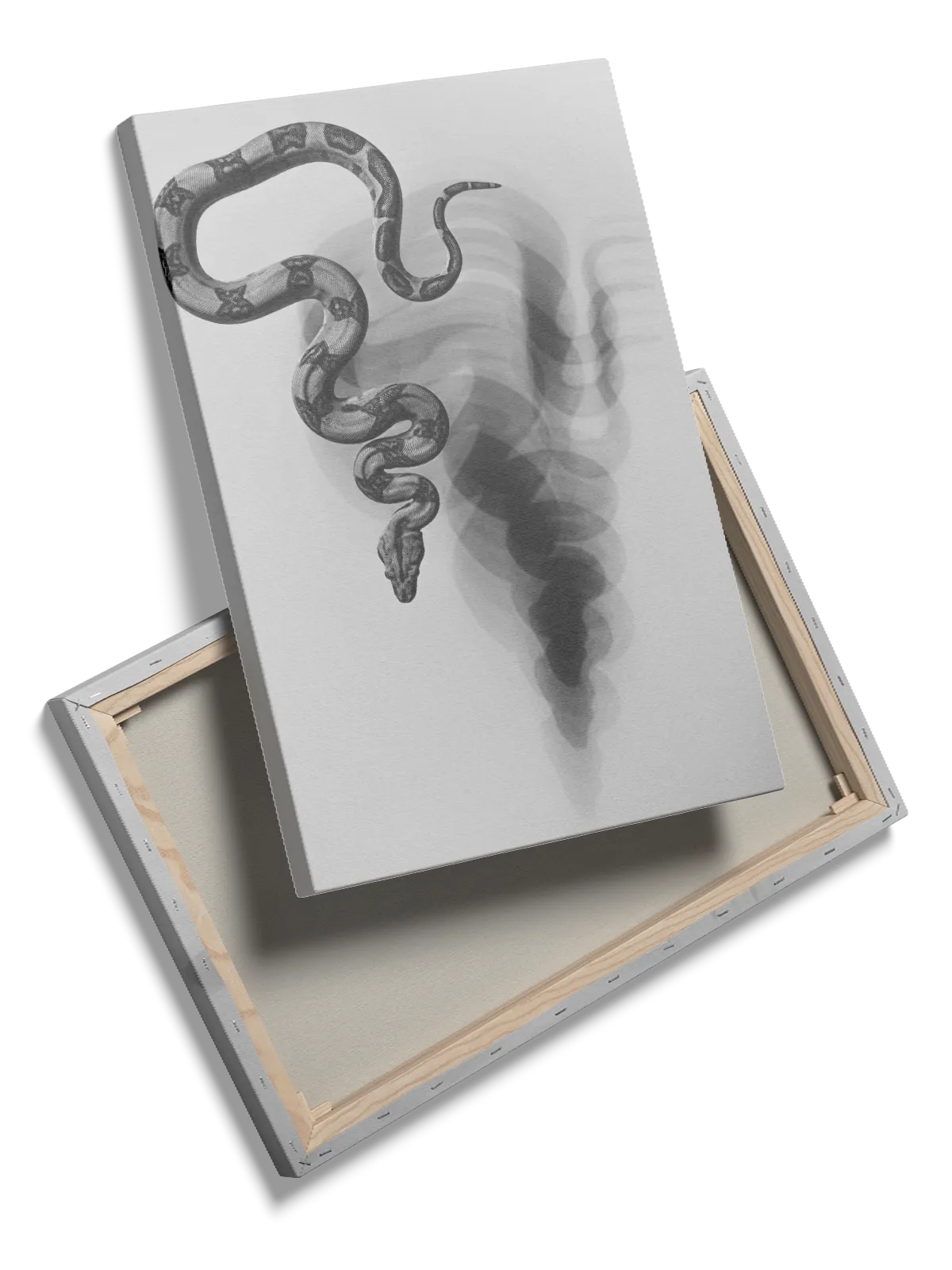 Python Snake Plakat
