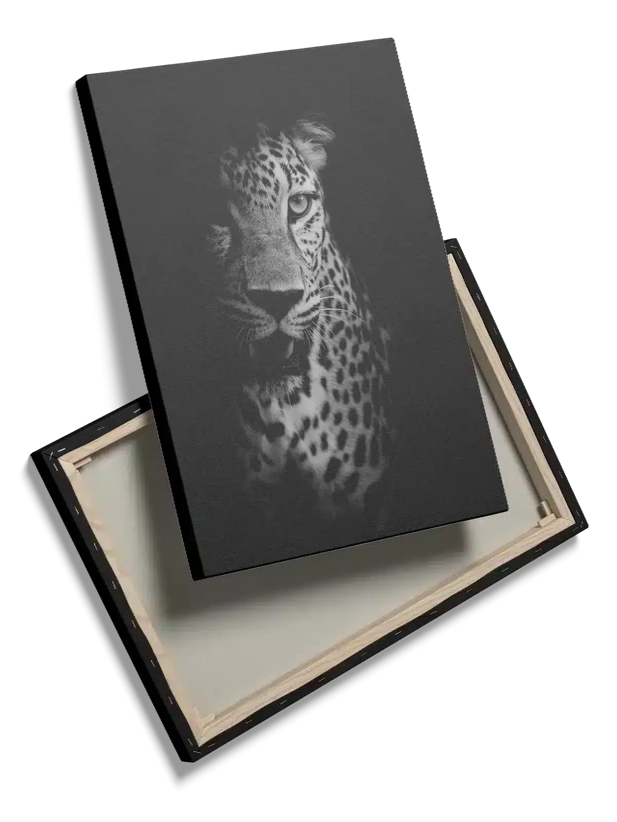 Leopard Portrait Plakat