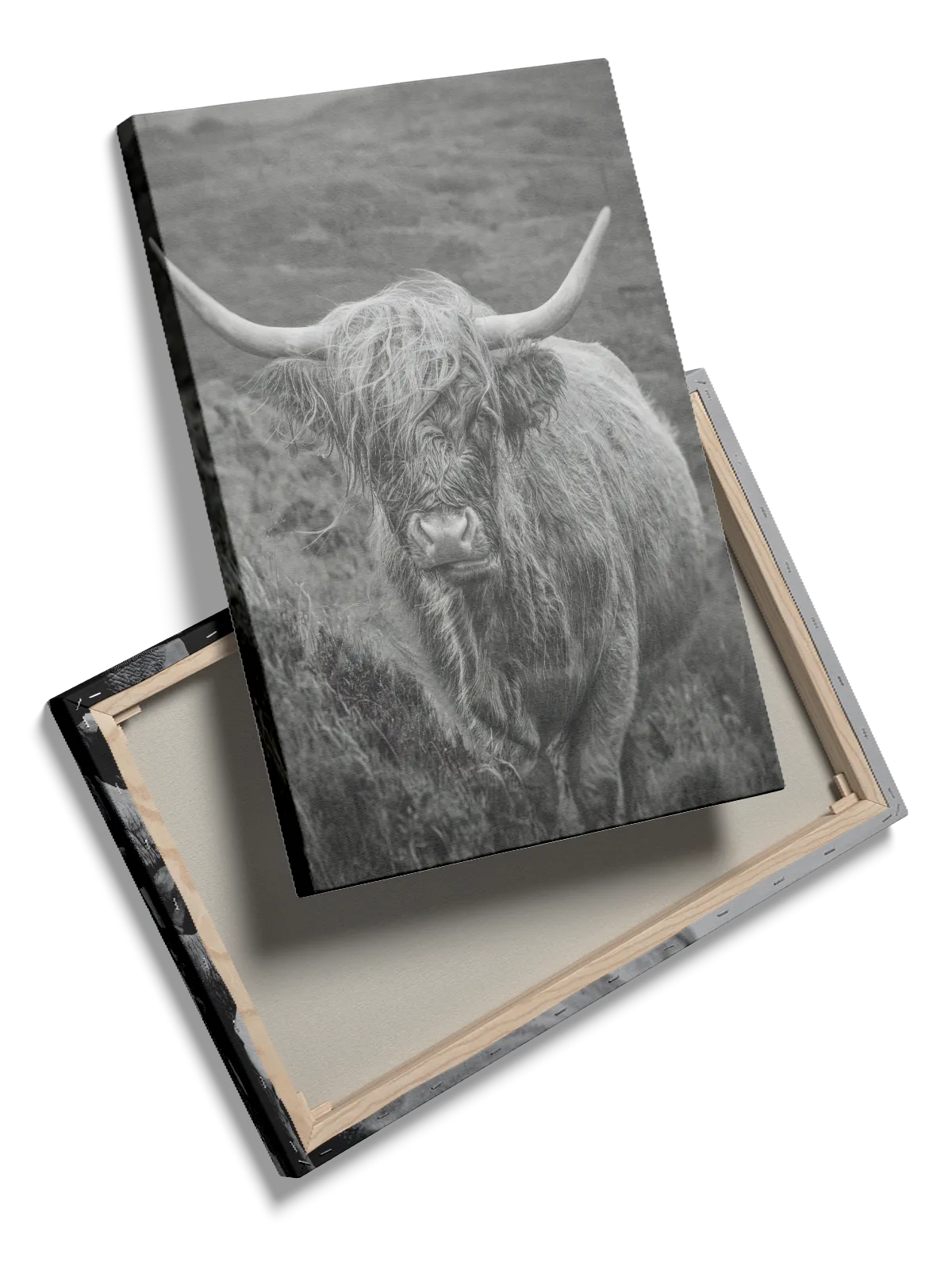 White Rhinoceros Plakat
