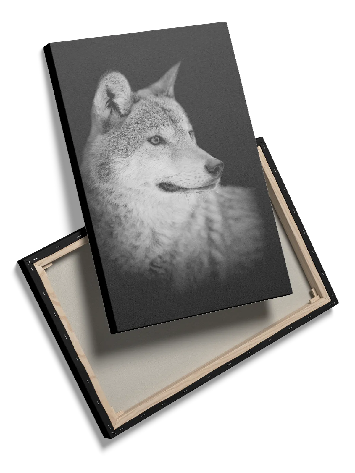 Wolf Portrait Plakat