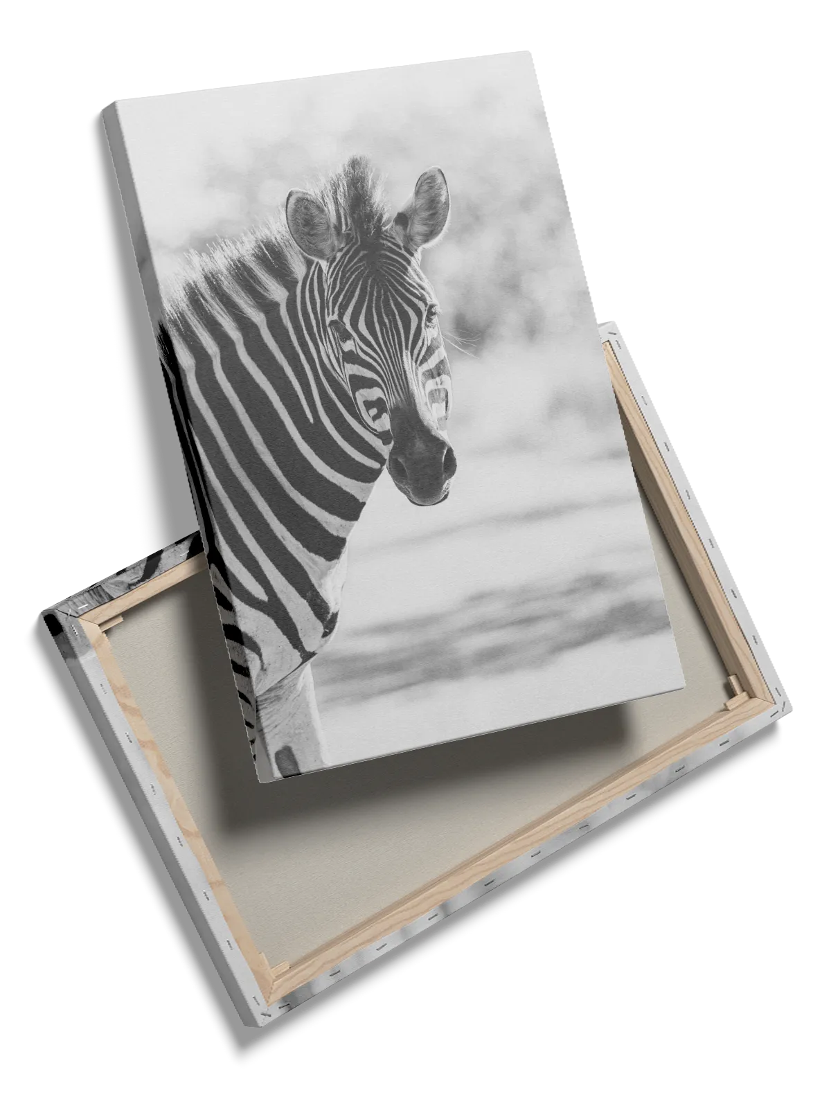 Zebra Portrait Plakat