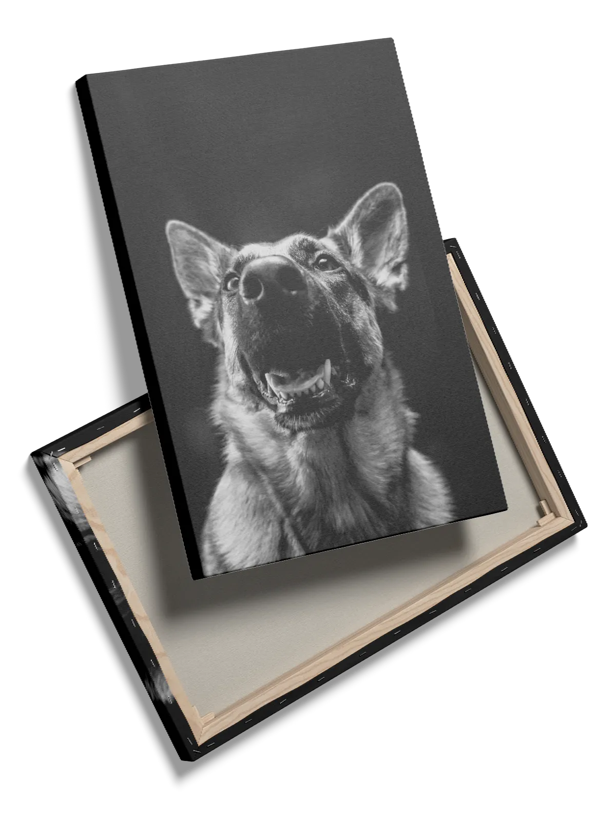 German Shepherd Plakat