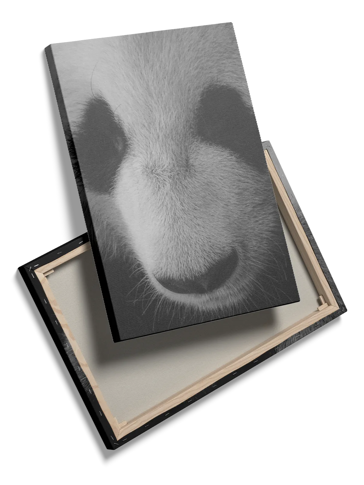 Giant Panda Plakat