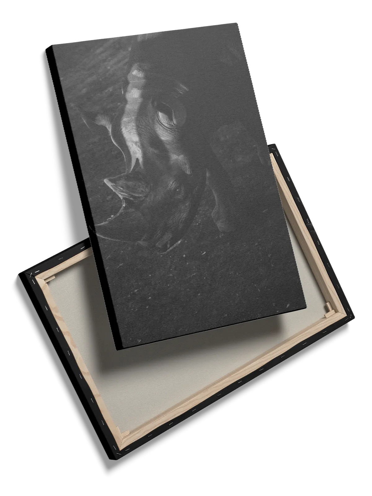 Black Rhino Plakat