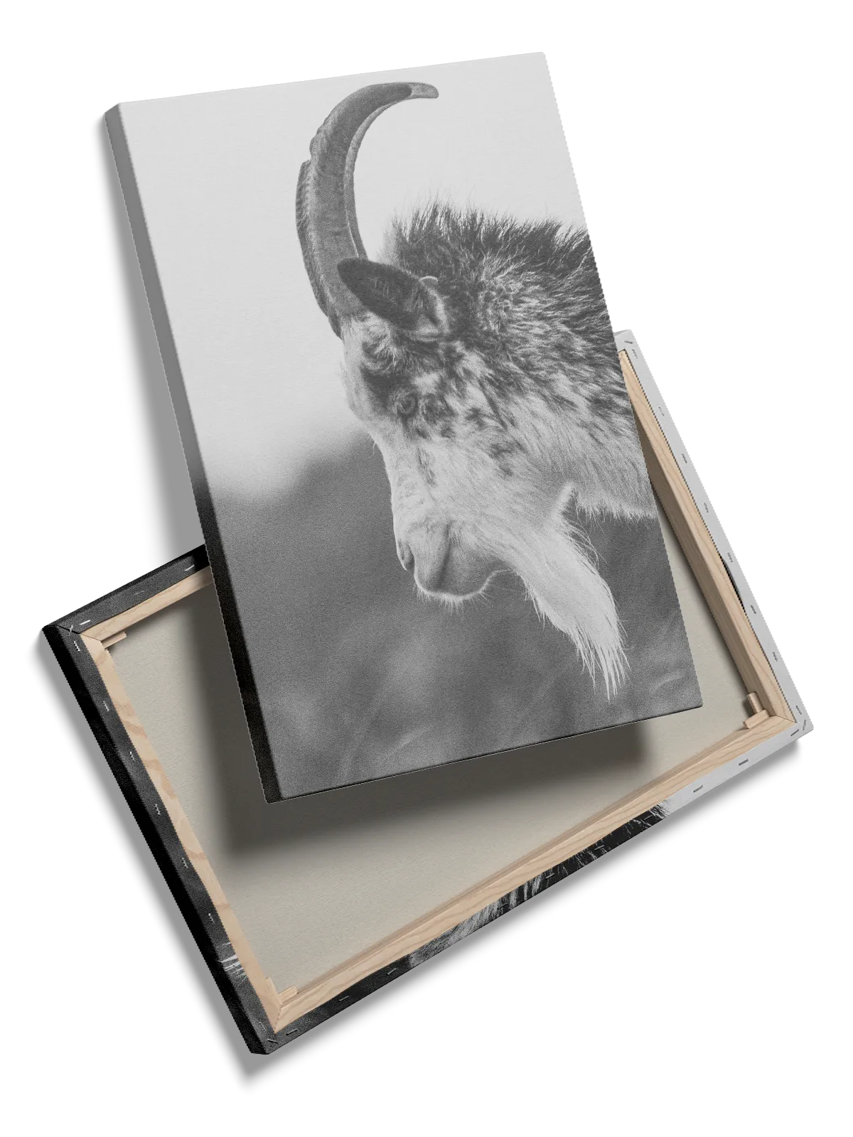 Mountain Goat Plakat