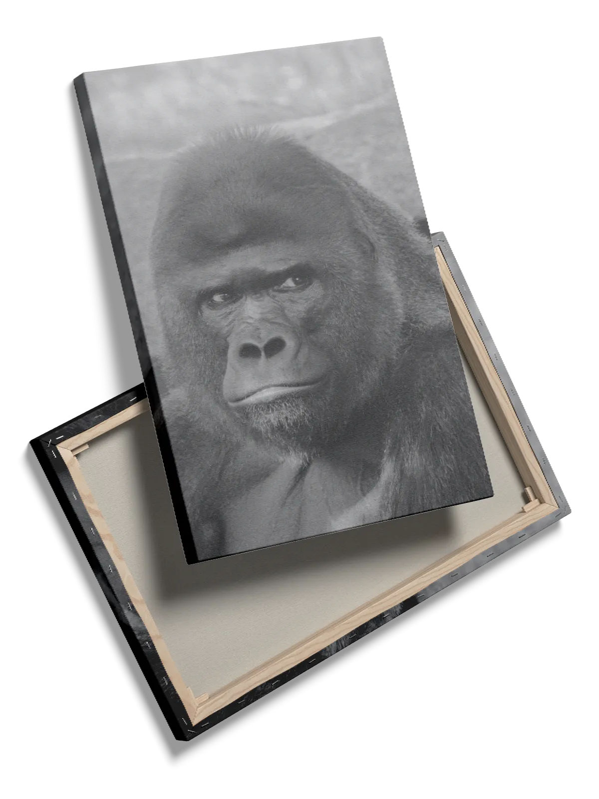 Silverback Gorilla Closeup Plakat