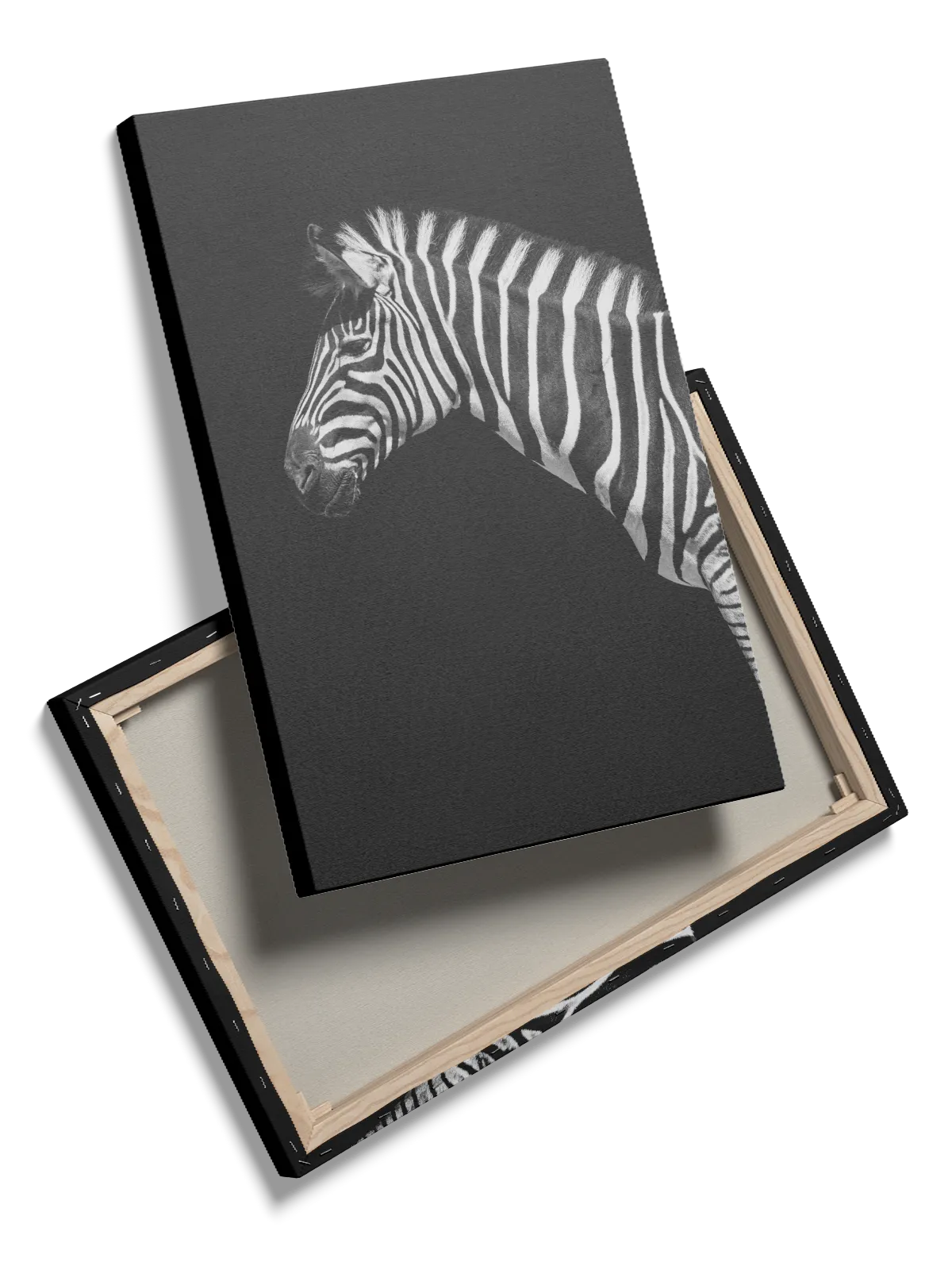 Zebra Profile Plakat