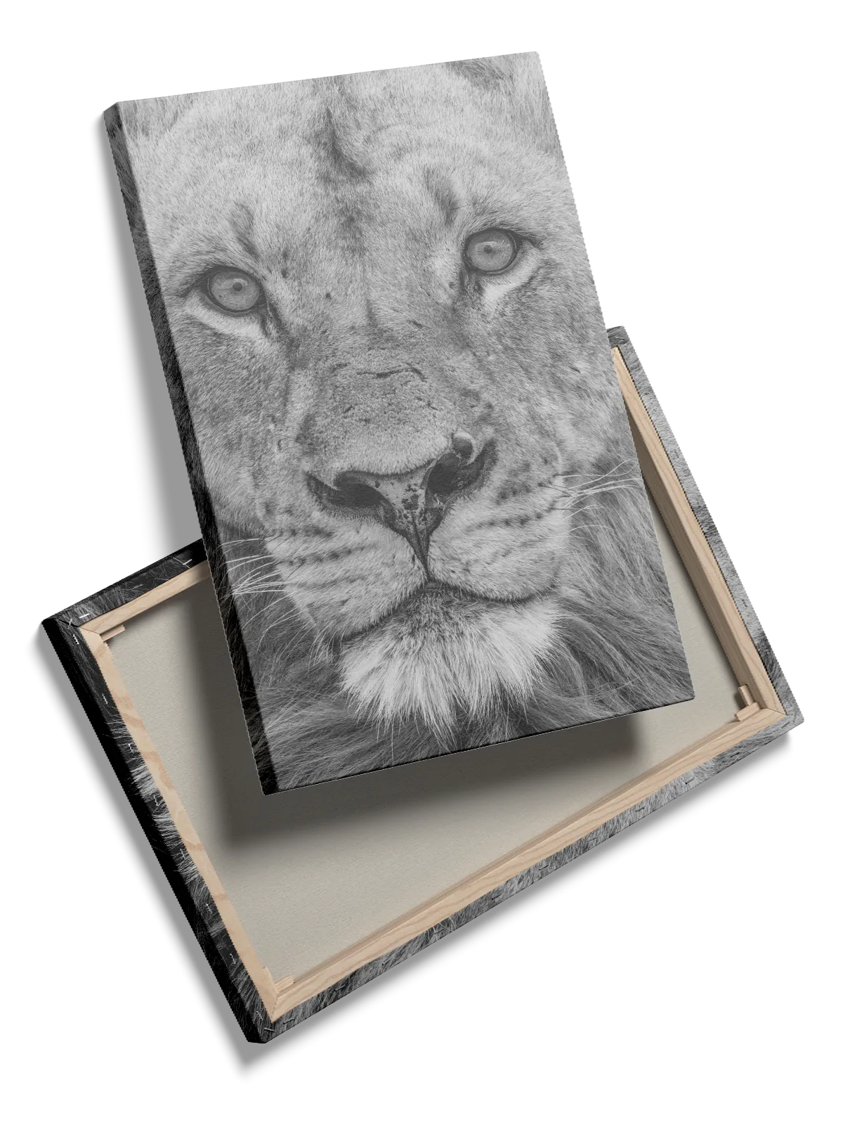 Lion Face I Plakat