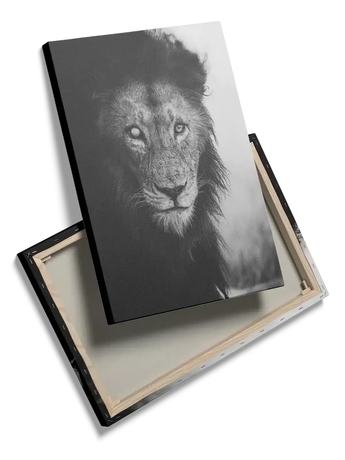 Blind Lion Plakat
