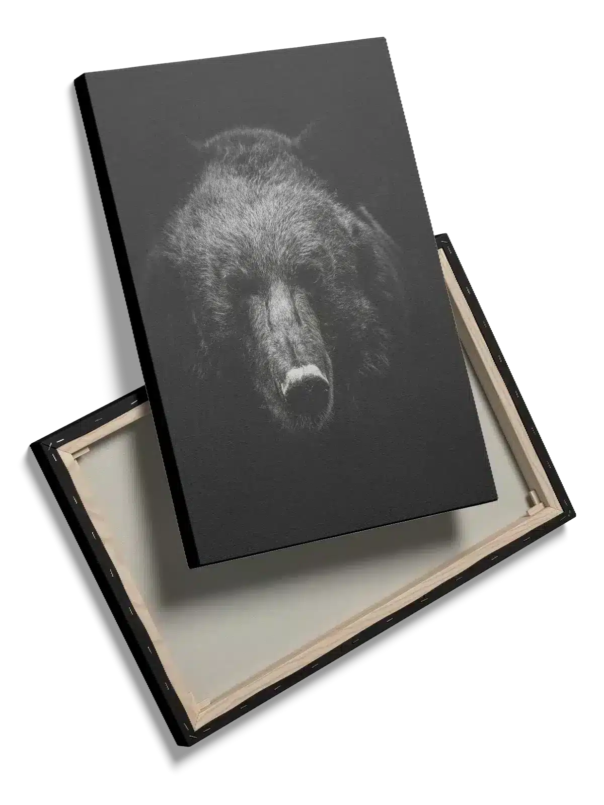 Brown Bear No2 Plakat