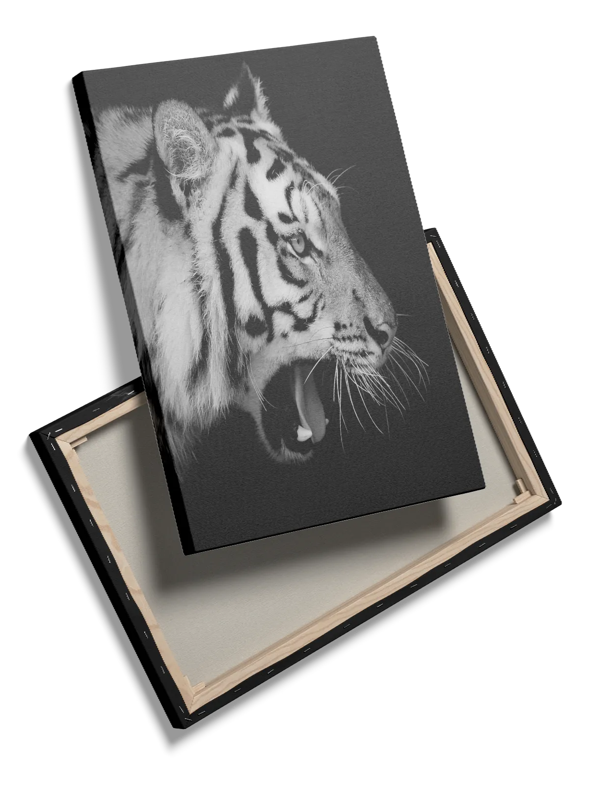 Roaring Tiger Plakat