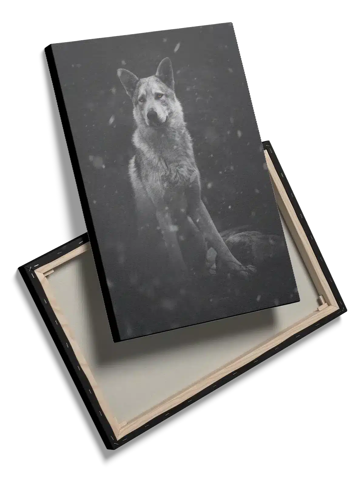 Wolf In Snow Plakat