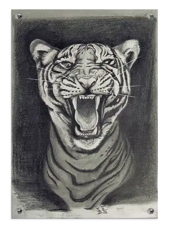 Tiger Roaring Plakat