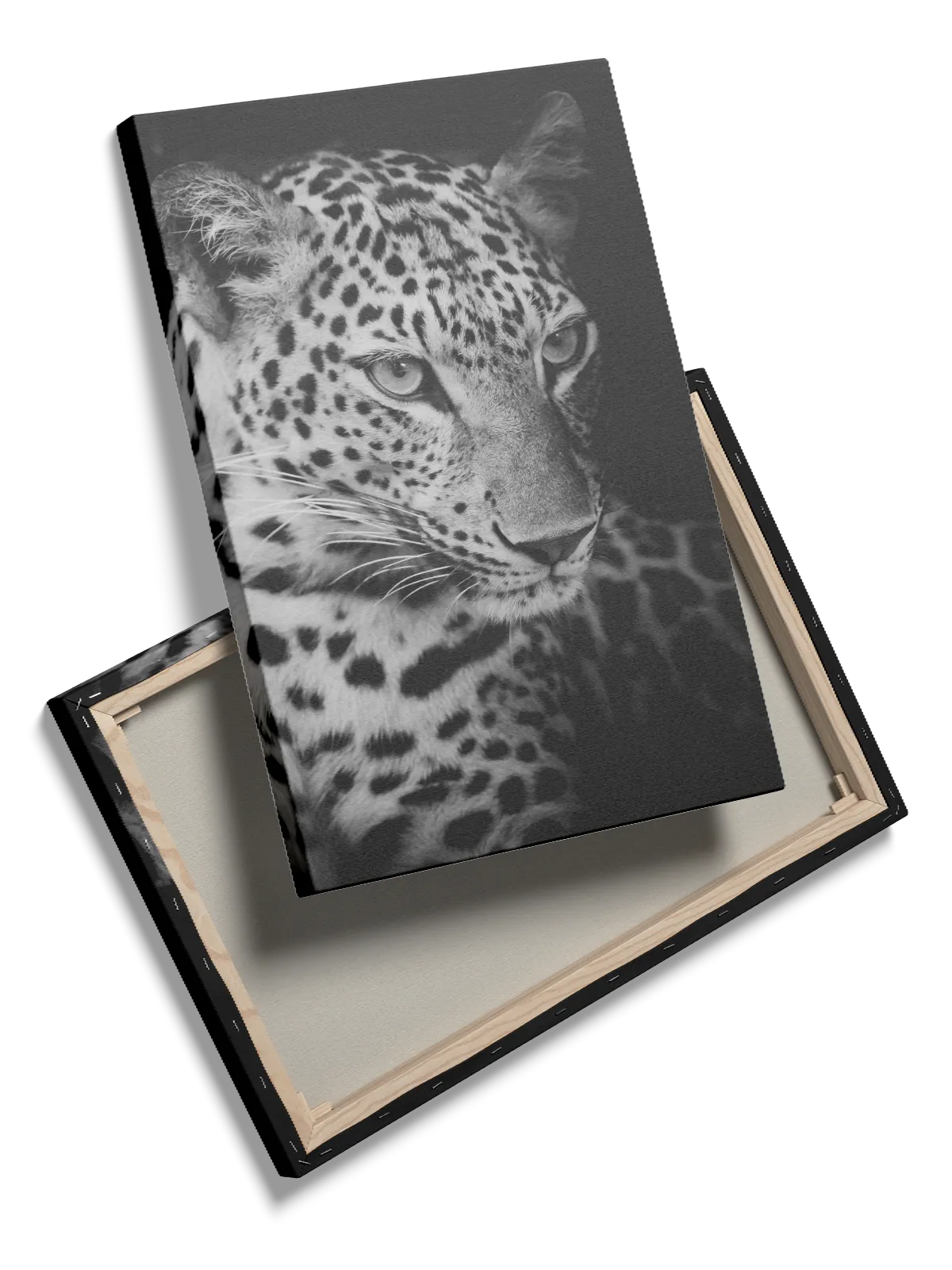 Leopard Close Up Plakat