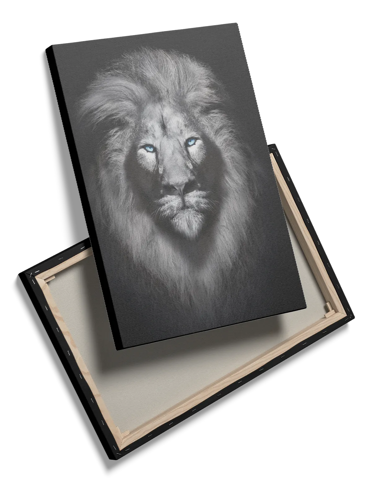 White Lion No2 Plakat