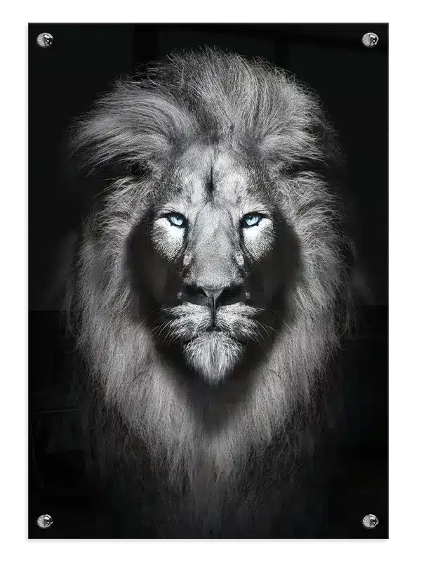 White Lion No2 Plakat