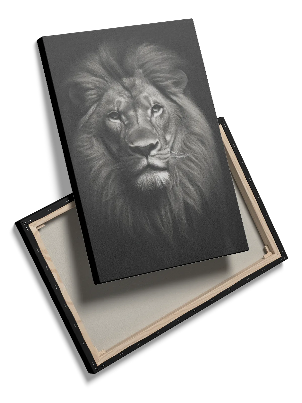 Lion Portrait I Plakat