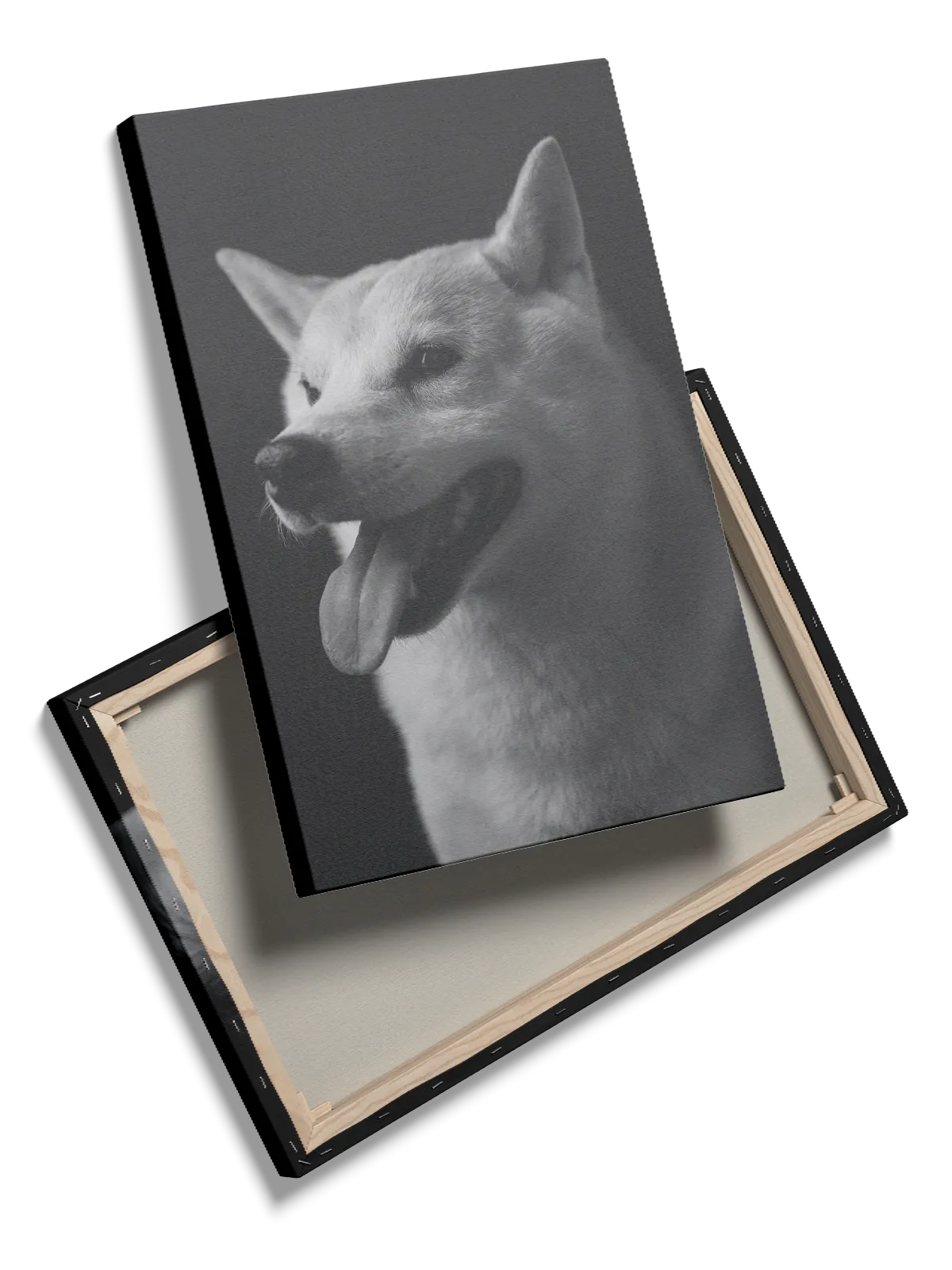 Hund Shiba Inu Plakat