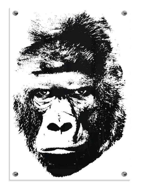 Silverback Gorilla Close Up Plakat