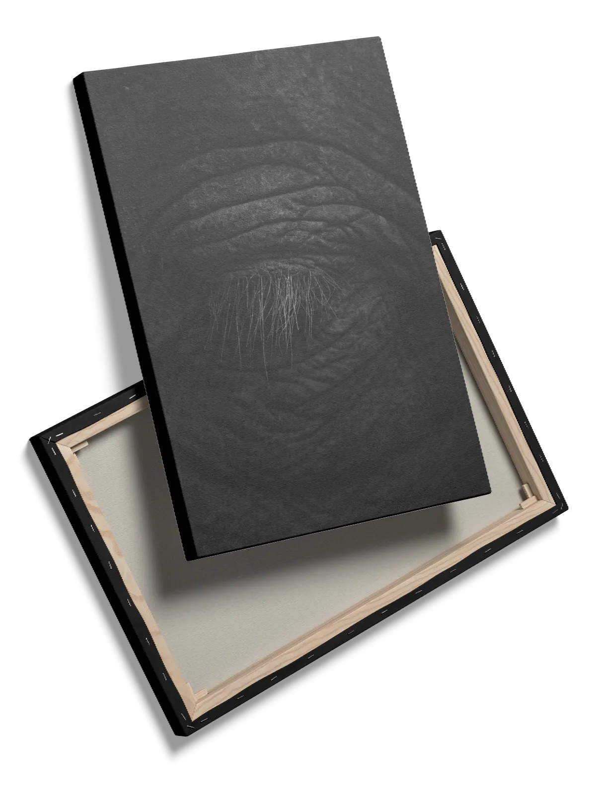 Elephant Eye Plakat