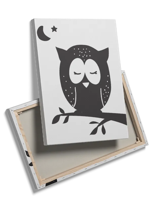 Gentle Sleeping Owl Plakat