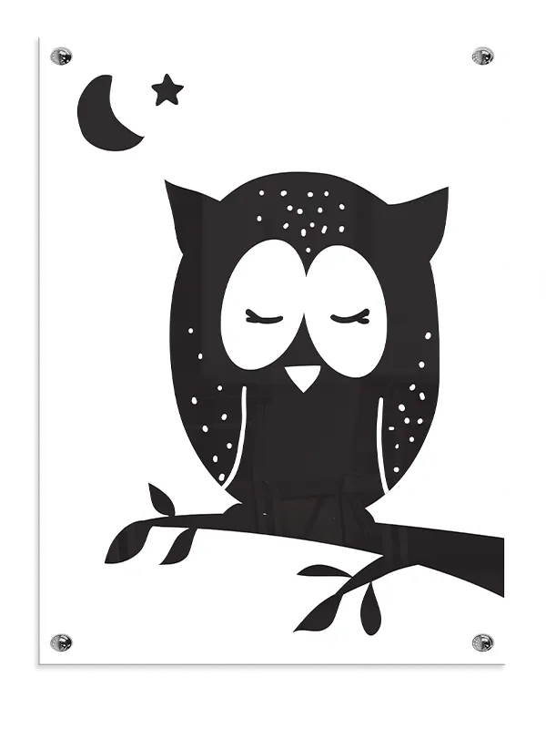Gentle Sleeping Owl Plakat