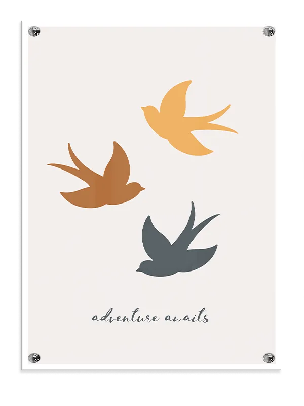 Playful Flying Birds Adventure Plakat